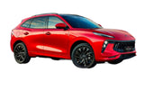 MALETERO CALCE PERFECTO DONGFENG T5 EVO